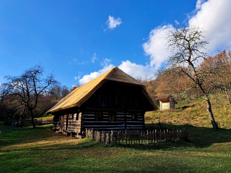 Rangusova nova kritina 2025 03